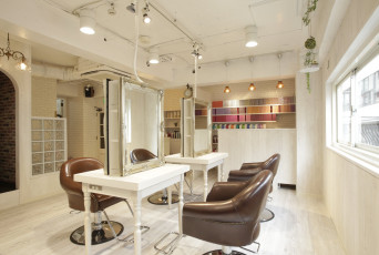 При каких условиях можно возобновить работу парикмахерским, салонам красоты