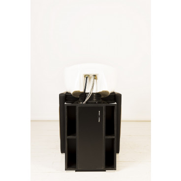 Парикмахерская мойка "Гармония II"