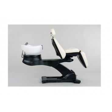 Мойка парикмахерская "Destiny"