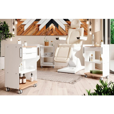 Тележка "FARGO MELODY"