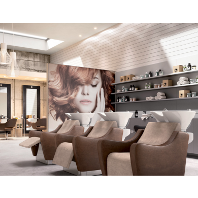 Парикмахерская мойка "WEN PRO"